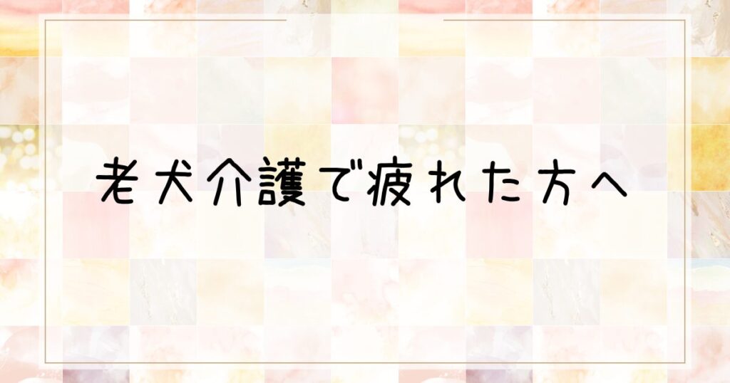 老犬介護　疲れた　認知症